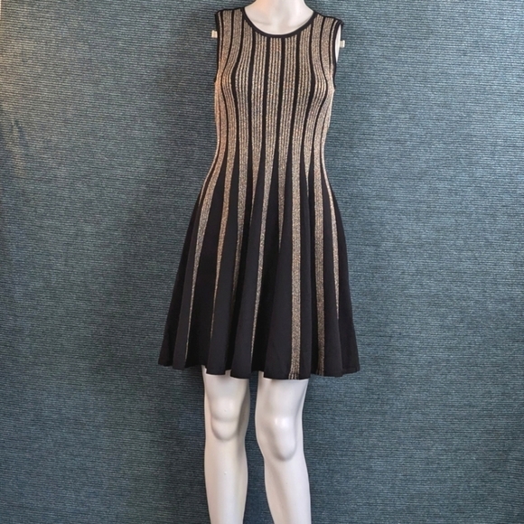 Adore Dresses & Skirts - Adore Metallic Striped Fit & Flare Dress, Reversible!